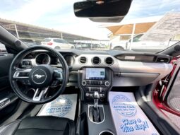 2019 FORD MUSTANG GT full