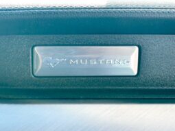 2019 FORD MUSTANG GT full