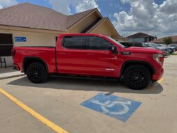 2020 GMC SIERRA ELEV full